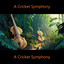 A Cricket Symphony cover