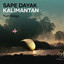 Sape Dayak kalimantan - Cover