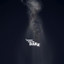 INTO DARK