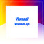 Visnadi — Racing Trax (Indianapolis Drive Mix Maceo Plex Edit) cover art