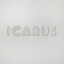Flowers - Icarus Soft Focus Mix