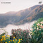 Til the Morning cover
