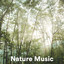 Nature Music cover