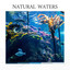 Natural Waters cover