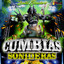 Se Busca Un Amor cover