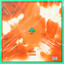 HNL cover