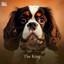 #01 The King cover