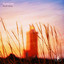 Flexible Fire - South Wind