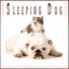 Sleeping Dog: Relaxing Background Music for Dog Sleep cover