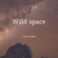 Adrian Grigore — Wild Space cover art