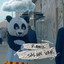 Salgın Var cover