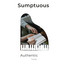 zZz Sumptuous Authentic Tracks zZz cover