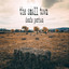 The Small Town cover