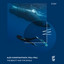 The Beauty and the Whale - Extended Mix