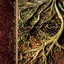 The Lord Reigns (Let Earth Rejoice) (Psalm 97a) cover
