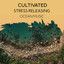 Cultivated Stress Releasing Ocean Music cover