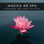 Música De Spa: Sonidos De Agua De Río cover