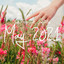 Indie/Pop/Folk Compilation - May 2021 cover