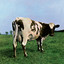 Pink Floyd - Summer ’68
