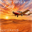 Kerri Perrett - Sugar Bird Lady