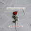 Valentine’s Day 2023 anti love songs cover
