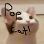 POP CAT! cover