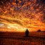 Letting Go cover
