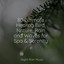 80 Ultimate Healing Bird, Nature, Rain and Waves for Spa & Serenity cover