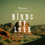 Birds Of Love - Gil Sanders Extended Remix
