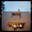 Depois do Fim (Deluxe) cover