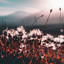 Gallery Six — Leaf Fall cover art
