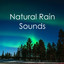 20 Tinnitus Blocking White Noise Rain and Thunderstorm Sounds cover