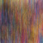 Eclectic Eel
