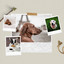 Warm Tenor Sax Jazz - Background for Puppy Sleep Zone cover