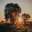 Ward Dhoore - It Takes Time