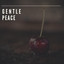 # 1 A 2019 Album: Gentle Peace cover