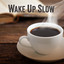 Wake Up Slow cover