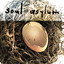 Soul Asylum - Here We Go