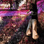 E ROTIC - GIMME GOOD S*X