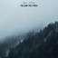 Flight of a Joyful Finch cover