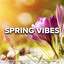 Spring Vibes 2023 cover