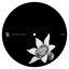 Loop #42 - Minor Science Remix