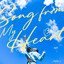 Song from My Heart