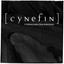 Y Fwyalchen Ddu Bigfelen cover