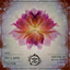 Vireo - Elias Dore Remix