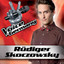 Rüdiger Skoczowsky