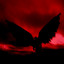 DIABLO cover