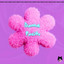 Freddy Furr — Dame Pacito cover art