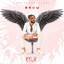 RYUK cover