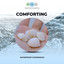 Comforting Waterfront Experiences cover